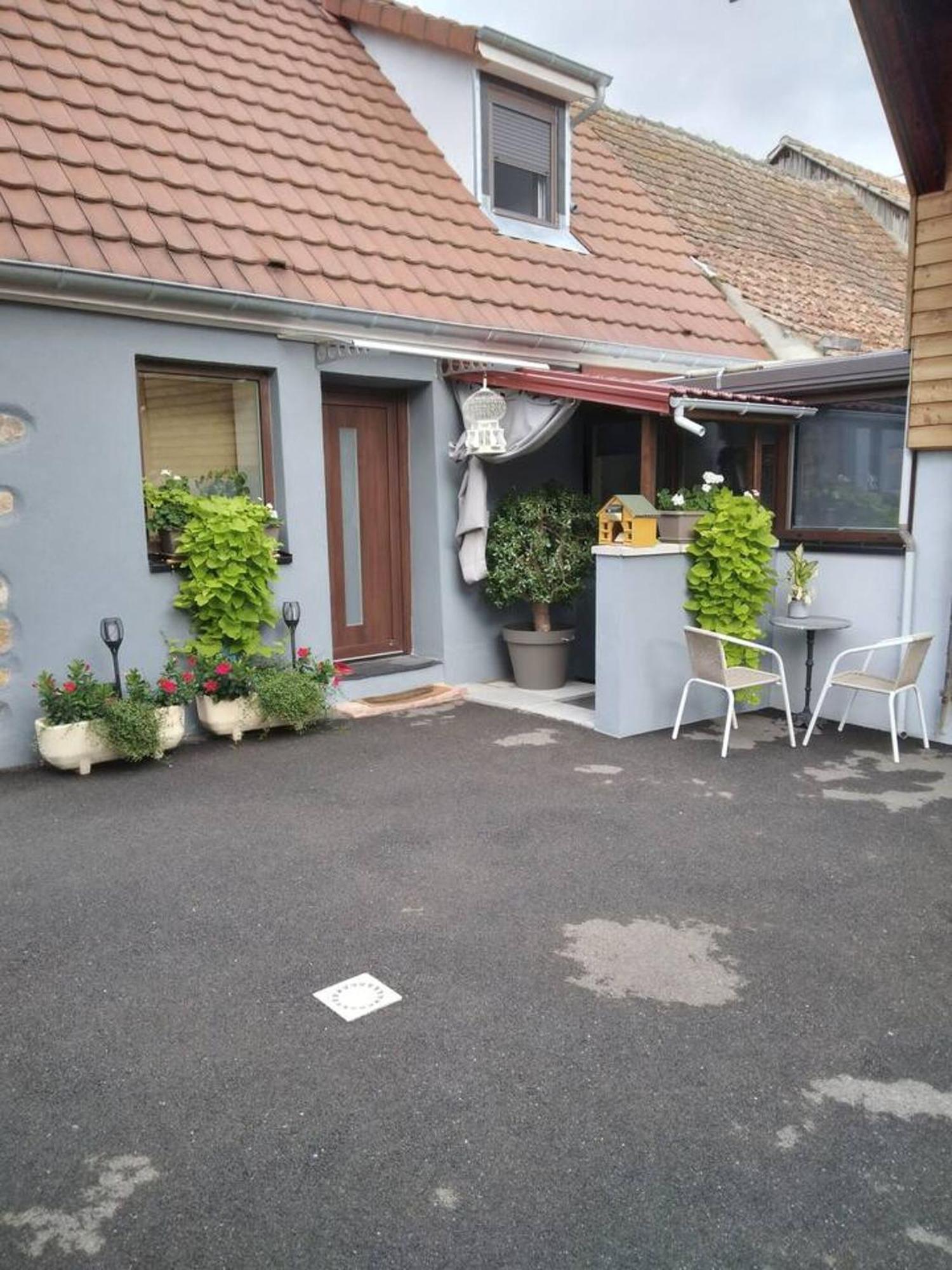 Appartement Cosy Wintzenheim + Terrasse Zewnętrze zdjęcie